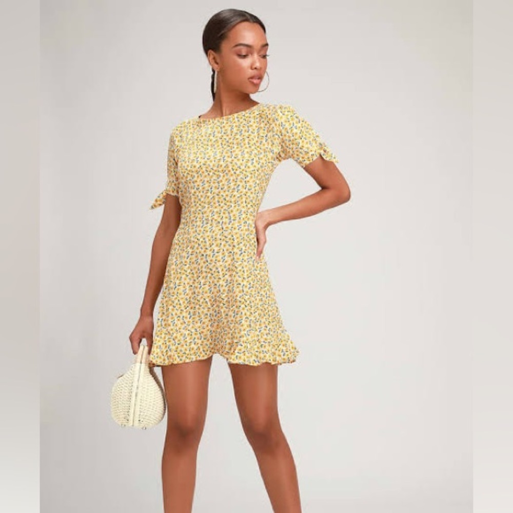 NWT Faithful The Brand S Daphne Floral Print Tie-Sleeve Skater Dress